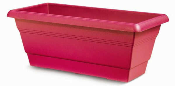 Rose Pink